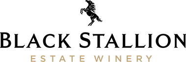 Black Stallion